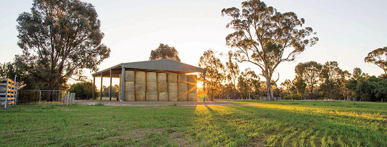 Rural & Farming